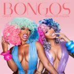 small_Cardi_B_ft_Megan_Thee_Stallion_Bongos_Clean_f46059d1ba